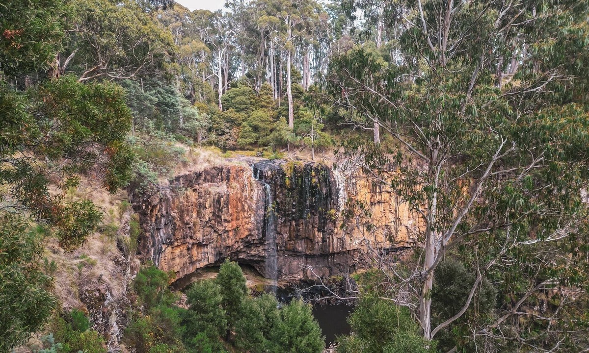 Spring Hill Other | WOOLSHED HOUSE, SPRINGHILL