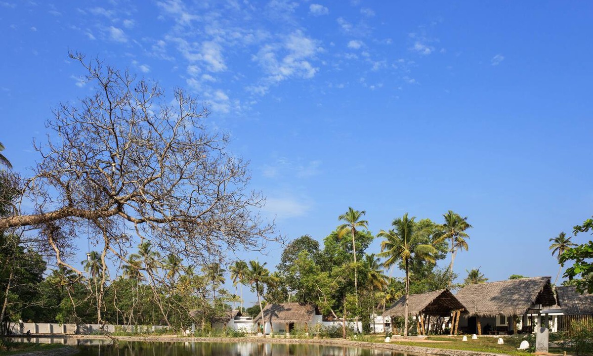 Mararikulam Hotel | Xandari Pearl
