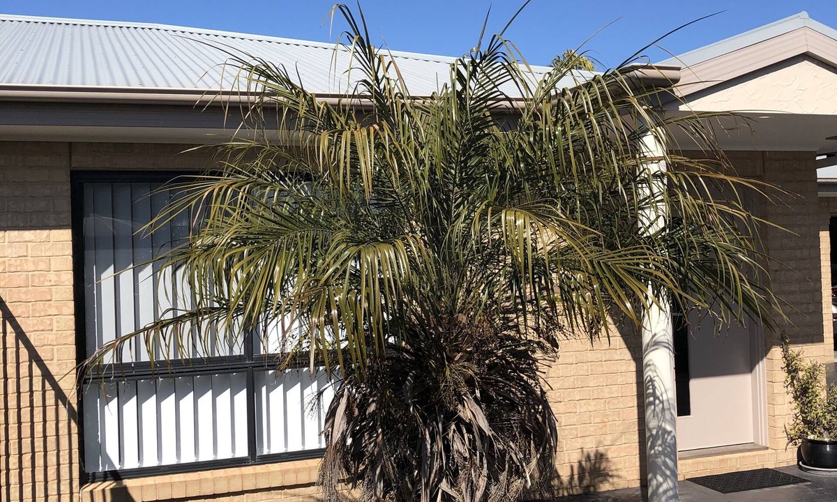 Yarrawonga Apartment | Your home away from home just across from the lake
