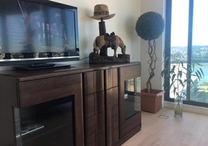 Modern and Convenient Apartment with Striking Water Views