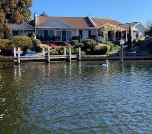 Waterfront 