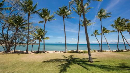 Nelly Bay Apartment | 1 Bright Point Apartment 5101