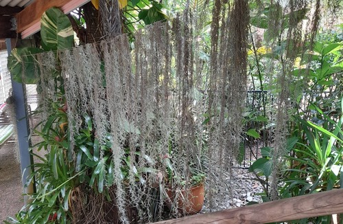 Redlynch Apartment | 2 B'rm Cool Retreat 90m above Sea Level, & views, in Quiet Area close to Cairns
