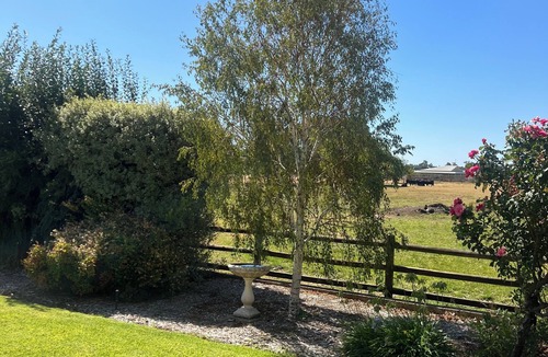 Harvey House | 367 The Avenue - walking distance to town, private