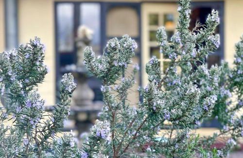 Croydon House | 5-Bed Secret Garden House