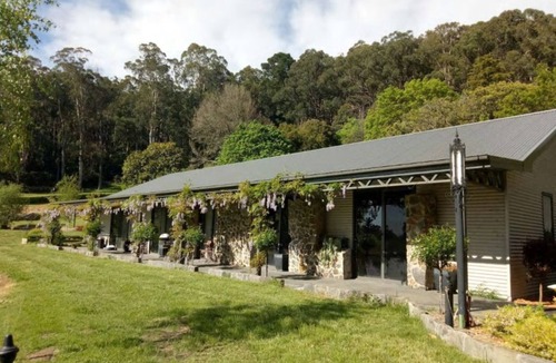 Sassafras Cabin | A beautiful self contained two bedroom cabin overlooking City & Bush.