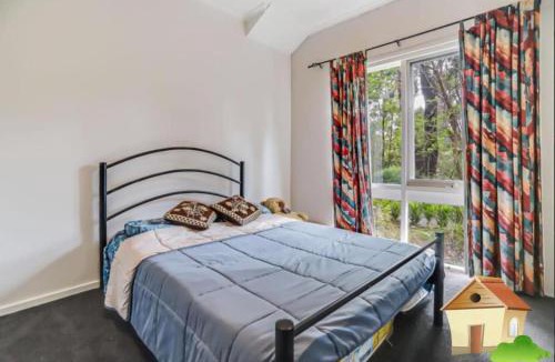 Donvale House | A peaceful break amidst lush greenery and birds