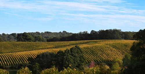 Summertown Villa | Adelaide Hills luxe-cottage with spectacular vineyard views