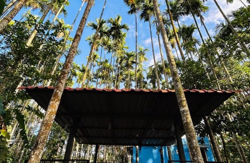 Kushalnagar House | Adventurous Wild cottages