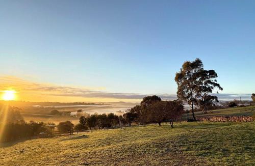 Clarendon House | Alpacas, Wineries And Rolling Hills