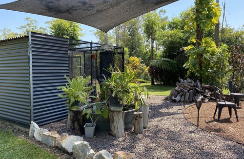 Girraween House | Amaroo in Girraween