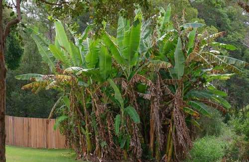 Mooloolah Valley House | Amazing House! Big Swimming Pool BBQ