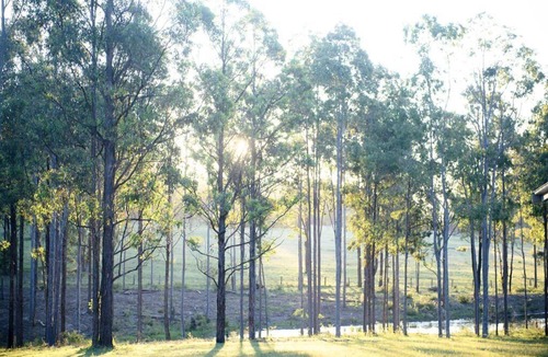 Lovedale Apartment | Amazing, secluded twenty-five acre property - yet close to everything you need!