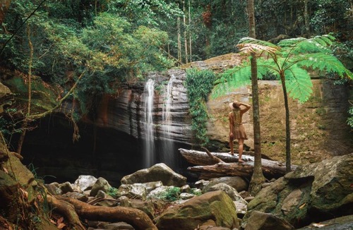 Buderim Apartment | Amore On Buderim Rainforest Cabins