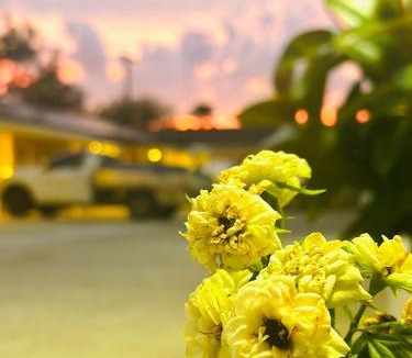 Moree Hotel | Angel's Rest Motel
