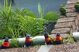 Coffs Harbour Hotel | Aquajet Motel