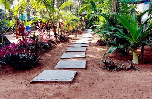 Agonda Bed & Breakfast | ARABIAN NIGHTS