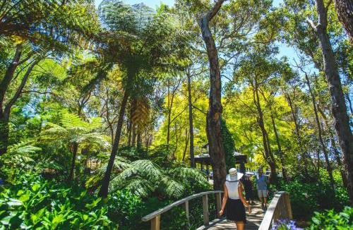 Yallingup Siding Resort | Aravina Escapes