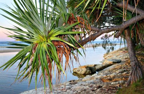 Point Lookout House | At Melaleuca 3
