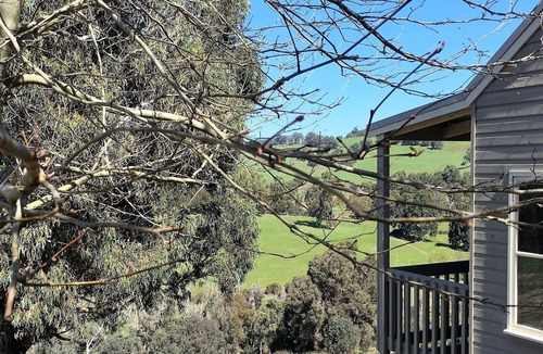 Balingup Ski Chalet | Balingup highview Chalets