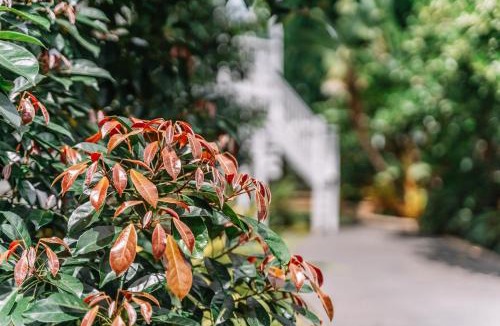 Balmoral House | Balmoral Queenslander