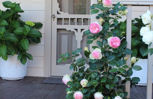 Balnarring Beach House | Balrose Cottage - Close to Beach, Vineyards, Golf, Bird watching, scenery