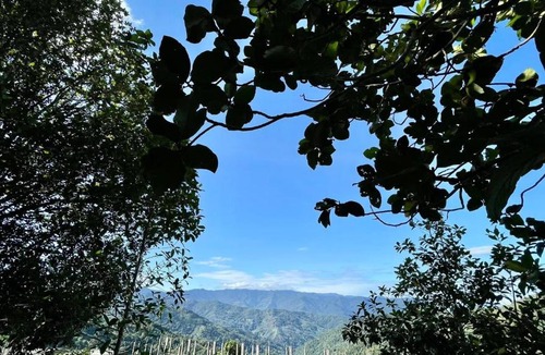 Kota Belud Other | BambooZinc Campstay, Pekan Nabalu