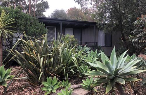 Ventnor Apartment | Beach Cottage in Ventnor