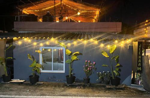 Aryad South House | Beachaholic Home