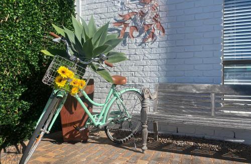 Beachmere Hotel | Beachmere Palms Motel