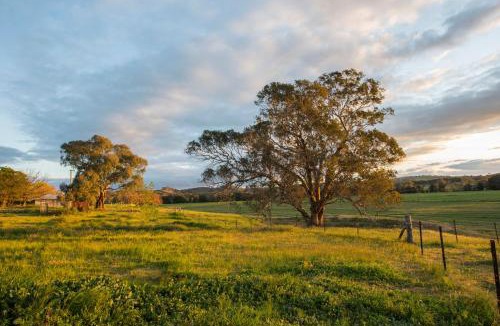 Galambine House | Beaudesert Cottage - Mudgee