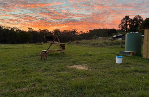 North Deep Creek House | Bee Farm Off-Grid Tiny Home Stay