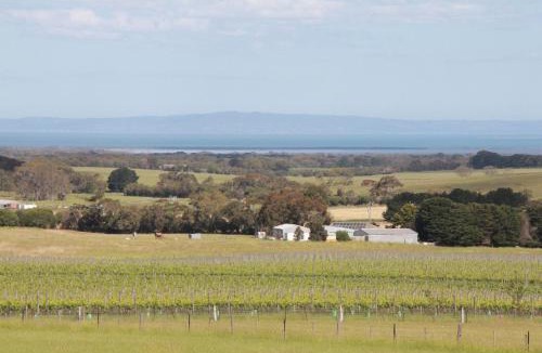 Drysdale Villa | Bellarine Villas