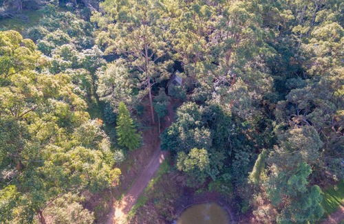 Kenilworth Cabin | Bellbird Studio, pet friendly, glamping getaway