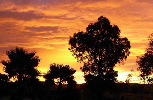 Canowindra House | Belubula Cottage Canowindra