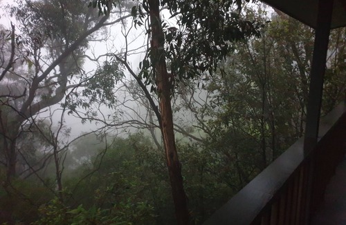 Katoomba House | Black Cockatoo - Secret Garden Mountains Home