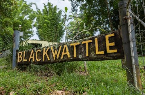 Beerwah House | Blackwattle Farm