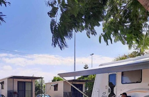 Yeppoon Apartment | Blue Dolphin Caravan Park Yeppoon