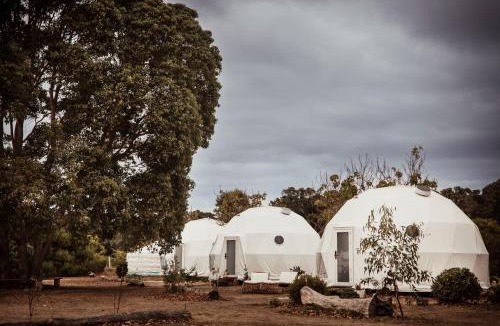 Augusta Other | Boogaloo Camp