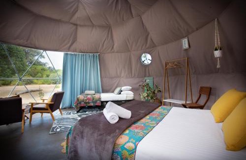 Augusta Other | Boogaloo Camp