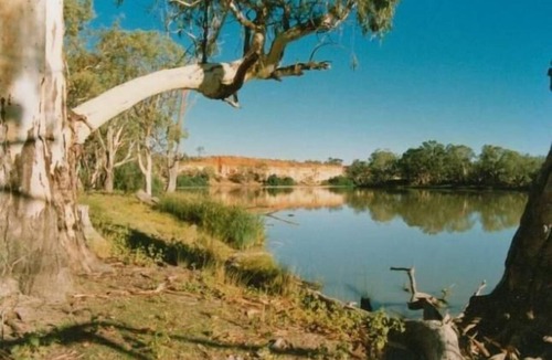 Murtho House | Border Cliffs River Retreat