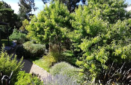 Burra House | Burra Hills