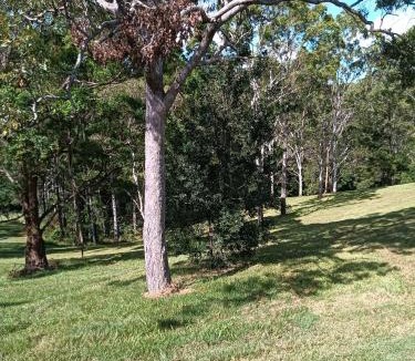 Ocean View Apartment | Cabins @ The View