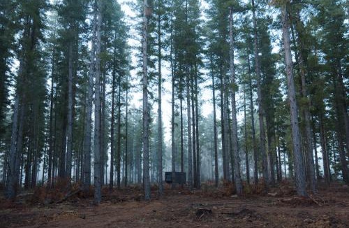 Kuitpo Cabin | CABN Kuitpo Forest