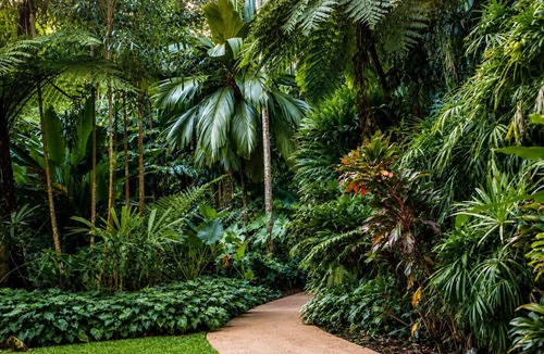 Edge Hill Apartment | Cairns Retro Studio—Cosy Stay near Botanic Gardens