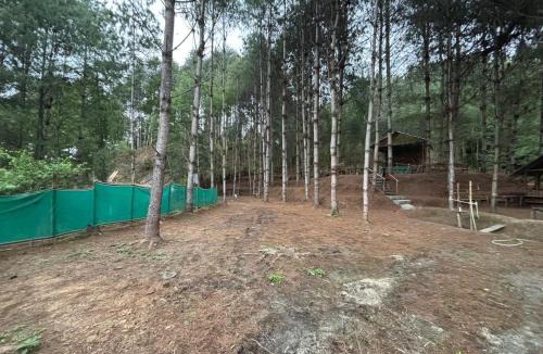 Itanagar Other | Camp Pineyard Ziro