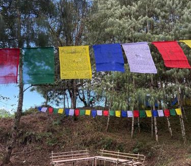 Itanagar Other | Camp Wildnest Adventures Ziro