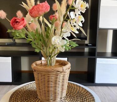 Kingscote House | CandE on Buller