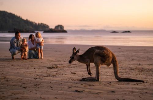Cape Hillsborough Resort | Cape Hillsborough Nature Tourist Park