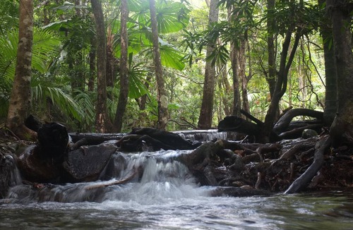 Cape Tribulation House | Cape Trib Farmstay
